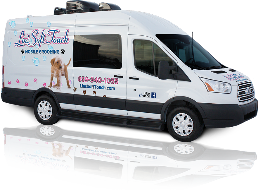 Soft coats 2024 mobile grooming